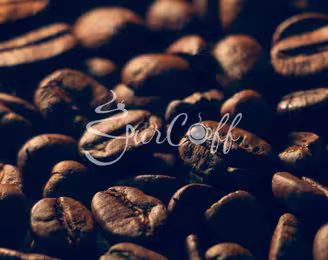 Historia del café del Huila, cultivo y sabor